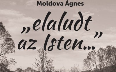 Rendkívüli filmklub Kispesten