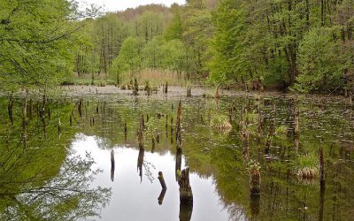 Teremtésvédelmi műhelyképzés – Meghívó