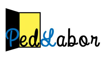 PedLabor program 2019. 06. 03.
