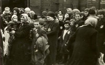 B.Kádár Zsuzsanna: Embermentés a vészkorszakban