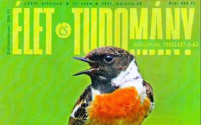 Publikációnk az Élet és Tudományban