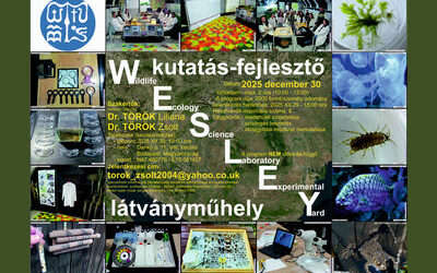 Vízlágyítás a látványműhelyben