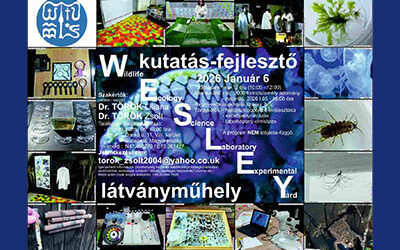 Édesvizi mintázás előkészítése