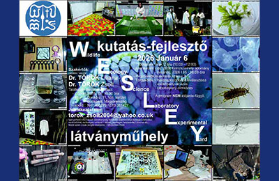 Édesvizi mintázás előkészítése