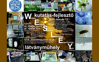 Édesvizi fény-igényeseknek és -tűrőknek