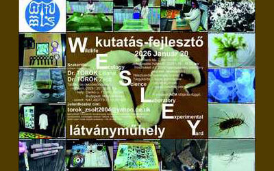 A mi célunk a micélium