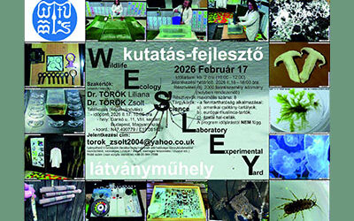 Fenntarthatóan a benntarthatóhoz