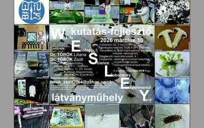 Hizlalt tücskök futtatói