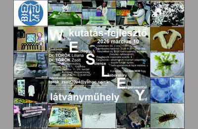 Hizlalt tücskök futtatói